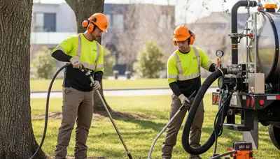 Tree fertilizing service in Boca Raton, FL for healthier, greener trees in sandy soil
