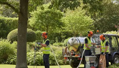 Tree fertilizing service in Boca Raton, FL for healthier trees and stronger growth