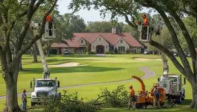 Tree service crew trimming a residential tree in Boca Raton, FL
