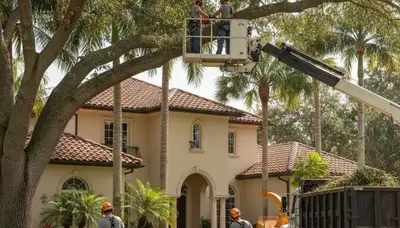 Tree trimming crew providing professional tree service in Boca Raton, FL