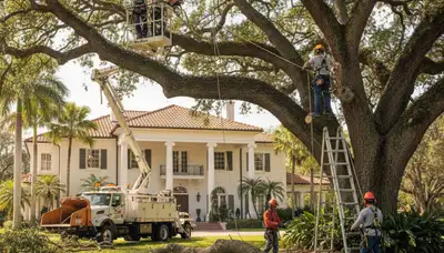 Tree trimming crew serving Boca Raton, FL for professional tree care and maintenance