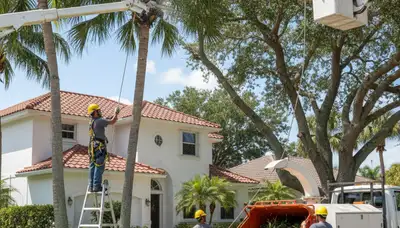 Tree service team trimming trees in Boca Raton, FL for safe, professional property care